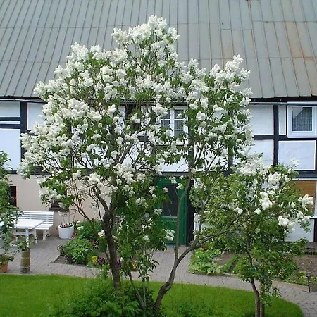 Wittmar In Sauerland Casa de Férias